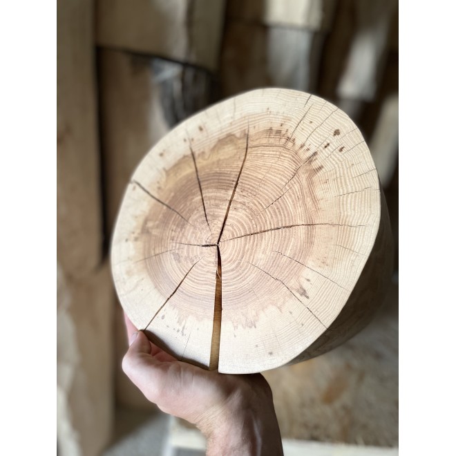Natural Ash Wood Stump Table