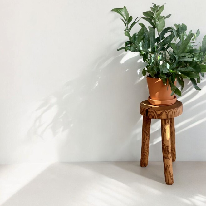 Handmade Wooden Stand 4–7 Sizes