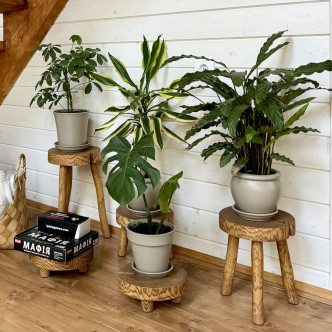 Brown Driftwood Stool & Planter