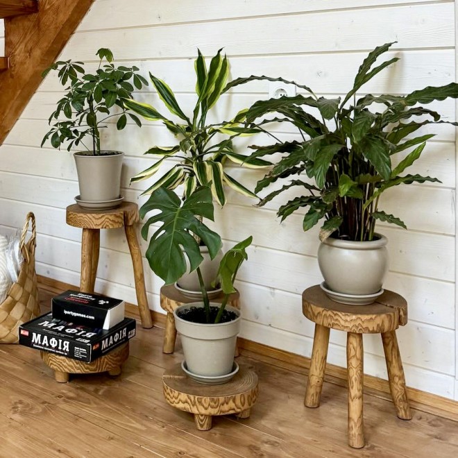 Brown Driftwood Stool & Planter