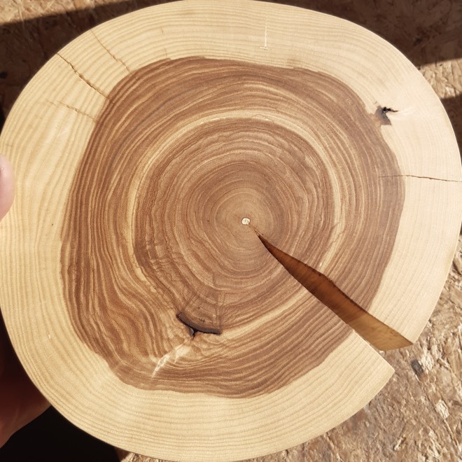 Rustic Ash Wood Display Stand 