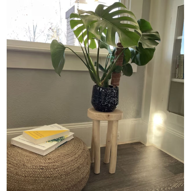 Handmade Wooden Stand 4–7 Sizes